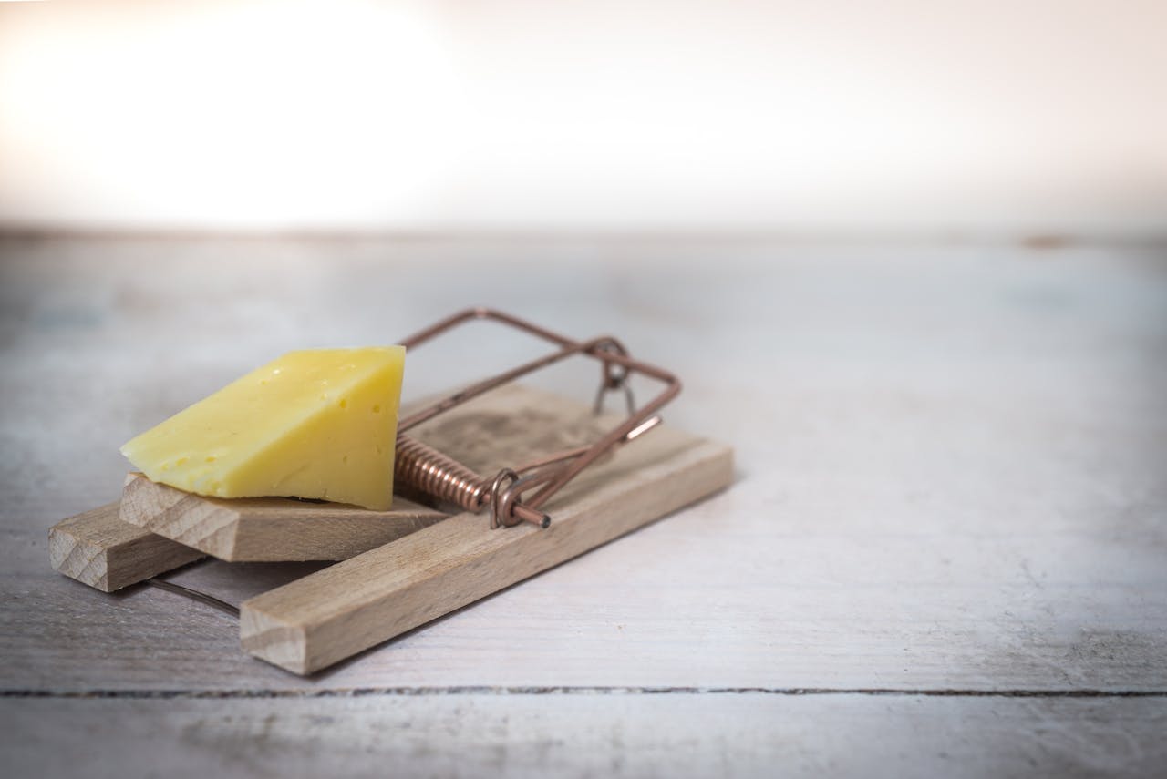 Comment éliminer les nuisibles de son logement : Astuces et conseils pratiques